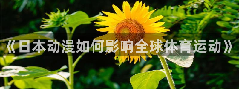 3377体育官网入口网页版：《日本动漫如何影响全球体育运动》