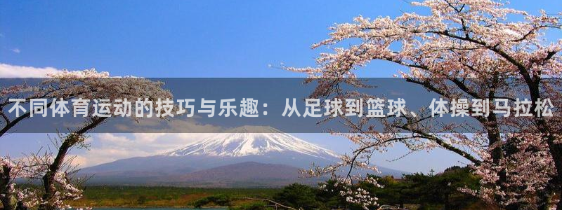 3377体育在线：不同体育运动的技巧与乐趣：从足球到篮球、体操到马拉松